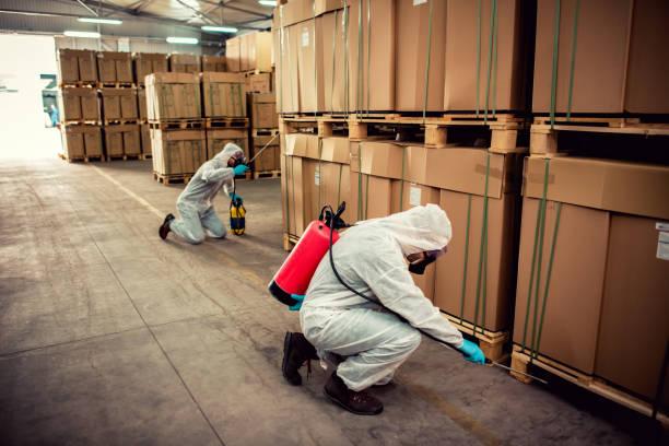 Best Pest Control Cost  in Old Mystic, CT