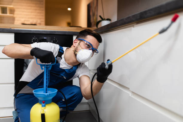 Best Wasp Removal Services  in Old Mystic, CT