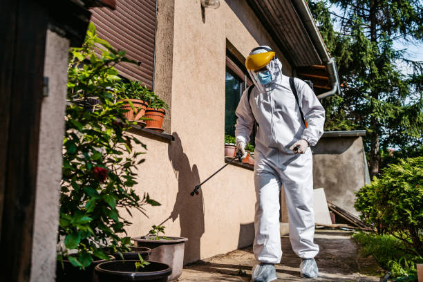 Wasp Removal Services in Old Mystic, CT