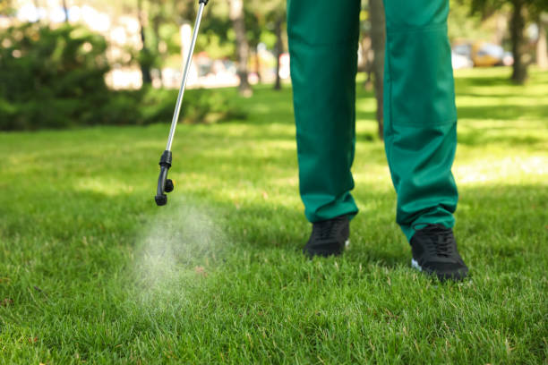 Best Cockroach Control Services  in Old Mystic, CT