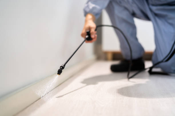 Best Pest Removal Services  in Old Mystic, CT