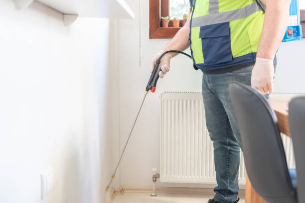 Best Flea Control Services  in Old Mystic, CT