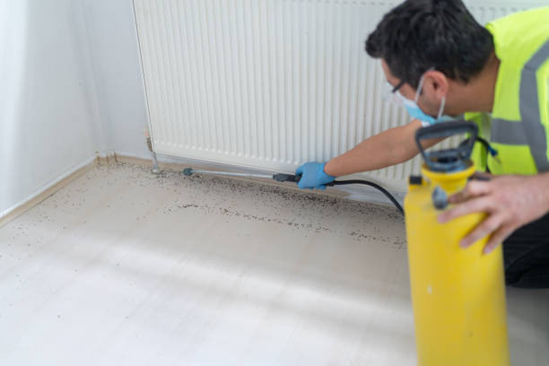 Best Affordable Pest Control Services  in Old Mystic, CT